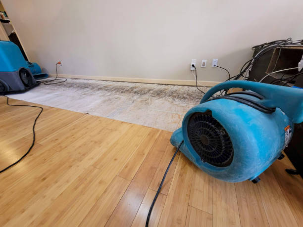 Professional Water Removal technician working in Bannock, OH